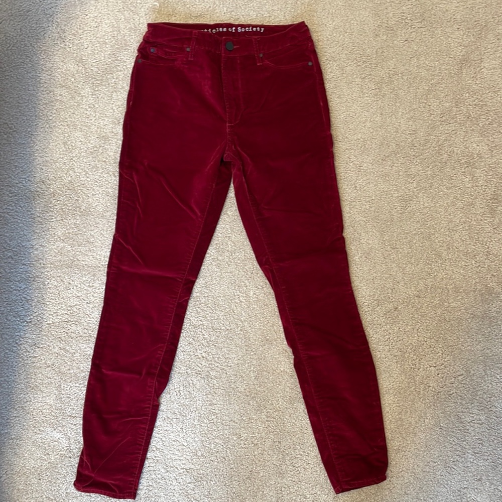 Articles of Society High Rise Skinny Pants